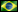 Portuguese Brasilian
