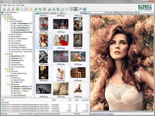 Click to view NeoDownloader 3.0.3 screenshot
